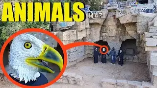 Если увидите представителей культа животных, не подпускайте их близко! Бегите как можно быстрее!