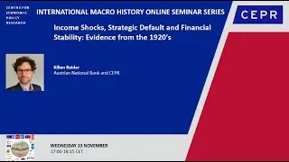 Income Shocks, Strategic Default and Financial Stability: Evidence from the 1920's