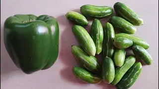அட ! இம்புட்டு நாளாக இது தெரியாமப் போச்சே! / கோவைக்காய் குடமிளகாய் வைத்து இப்படியும் செய்யலாமா ! //