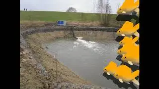 Rupelmonde De Schubkarper: het pompen van eerste water!!!!