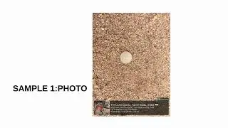 Development of a low-cost camera-based automated beach sand grain mapping system.