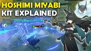 Hoshimi Miyabi Gameplay and Kit Explained | Zenless Zone Zero 1.4