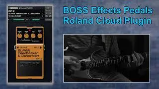 BOSS DF-2 Fedbacker & Distortion | Factory Sound | Effects Pedals Plugin Official Roland Cloud