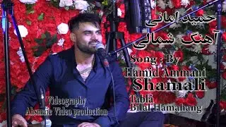 Hamid Amani Shamali 2024 Live in Toronto_ حمید امانی آهنگ شمالی