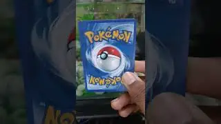 #Glalie