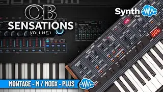 OB SENSATIONS (32 sounds) | Sequential Ob6 Sound Bank | YAMAHA MONTAGE M - MODX / + | SOUND LIBRARY