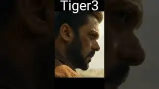 #Tigerkamessage#Tiger3