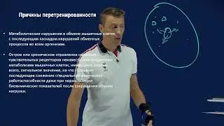 Перетренированность