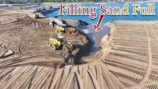 Project Filling Sand Full!DumpTruck SHACMAN Trasport Sand Filling Big Lake And Wheel Loader Pushing