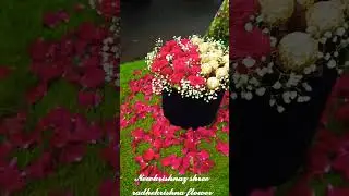 #florist #flowers #gift #hampers #vairal #vairalshort #trending #trend #love #like #sbscribe #like