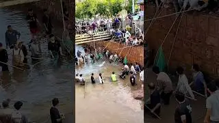 Mass Fishing Frenzy: A Lively Scene of Everyone Catching Big Fish!