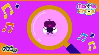 🪰 Bzzz! 🪰 This Fly Won’t Let Triggs Sleep?! 😴 | Maddie + Triggs | 🎵 Song 🎵 | @RTÉKIDSjr