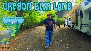 Oregon BLM ~ Tillamook State Forest ~ Lush Green River Camping