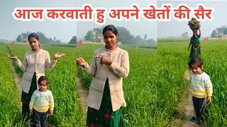 आज करवाती हु अपने खेतों की सैर # gaov ki hariyali # Vikki Mishra official 💐🙂