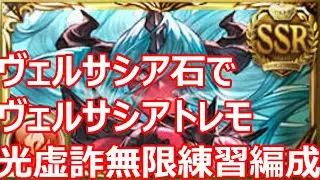 ヴェルサシア（召喚石）でヴェルサシアトレーニングモード　光虚詐予兆解除重視編成　ソロ22％まで【グラブル】【GBF】