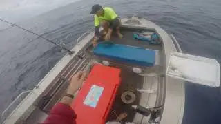 Snapper Island Wreck Fishing