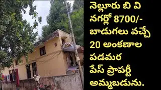 20 Ankanas property for sale at 2.40 lakhs at B V Nagar in Nellore|HR Properties in Nellore.