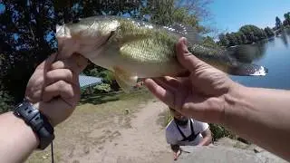 Bass Fishing Waverly Lake