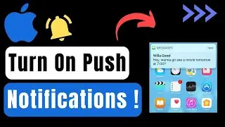 How To Turn On Push Notifications On iPhone !