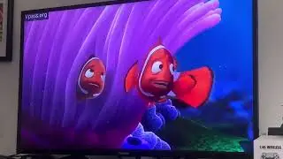 Finding Nemo Disney Channel Intro (01/10/26)