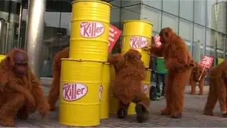 Putting palm oil in Kit Kats is bad news for orang-utans