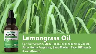 Essancia - LemonGrass Essential Oil For Hair Growth, Skin, Reeds, Floor Cleaning, Candle