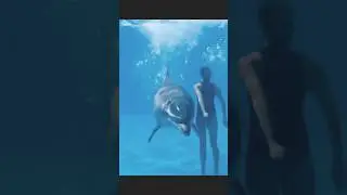 #orcas #trendingg #foryouu #orcas #trendingg #foryouu #orcas #trendingg #foryouu #orcas #trendingg.