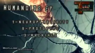 Dual Perception - Machines