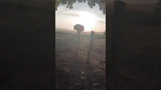 Terezinha, pernambuco