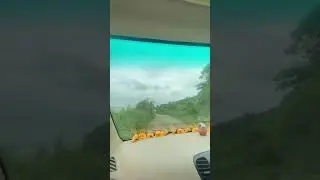 #cartracing