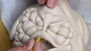 Like a Strap Over Tufted Water (Speedy)