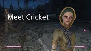Fallout 4 - Meet the Wastelanders - Caravan Trader Cricket