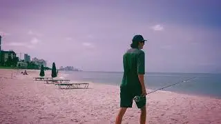 Fly Fishing for Snook on the Beach