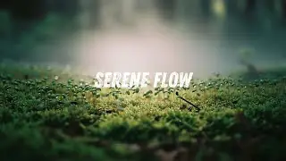 Relaxing Guitar Background Music for a Calm Productive Day