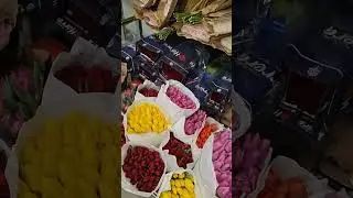 https://www.instagram.com/floriste_opt/