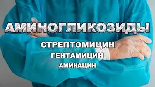 Аминогликозиды: механизм, поколения, токсичность