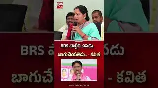 BRS పార్టీని ఎవడు బాగుచేయలేడు..  | Kalvakuntla Kavitha | KCR | KTR | BIG TV
