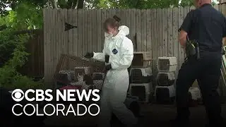 Neighbors shocked to learn Colorado home had animals living inside in dreadful conditions