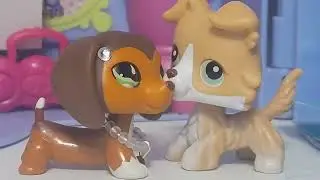 Good 4 you/ LPS music video