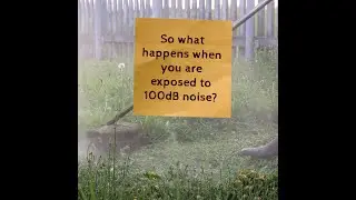 How noise at work affects your music enjoyment ...LOcHER Project.