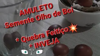 Semente OLHO de BOI! Amuleto de Proteção/Quebra Feitiço e INVEJA