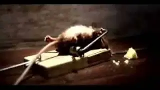 Mouse Trap Workout Like Rocky Balboa (Complete Clip)