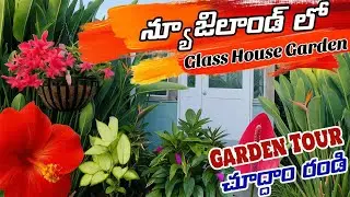 న్యూజిలాండ్ లో GLASSHOUSE GARDEN ఫస్ట్ టైం చూసా | garden tour| gardening| flowers | telugu vlog