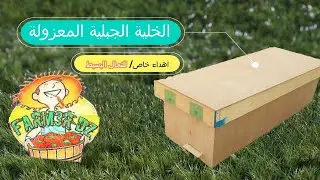 الخلية الجبلية المعزولة | How to make honey bee box at home