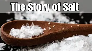 Brief History of Salt