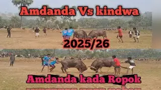 Amdanda kada ropok at Amdamda Vs kindwa #kadaropok #viralvideo 