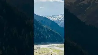 #narankaghanvalley 🌳  🏔️ #likeandsubscribe