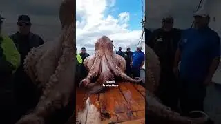 Surah At-Takwirسورة التكوير  Qari Hamid Ali zada  #alquran #shorts #islamicproduction #viralvideo