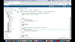 Replacing text by using substr function only in SAS