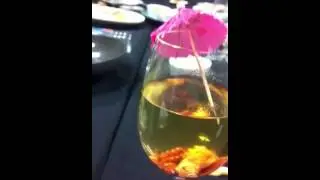 Celebration